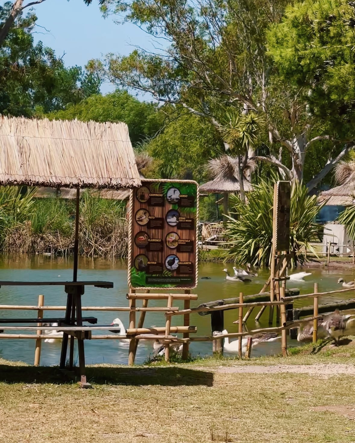 INFORMACIÓN ÚTIL - Media 4